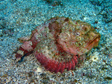 P1130944