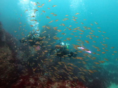 GOPR0016