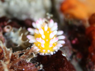 line_oa_chat_240723_161250