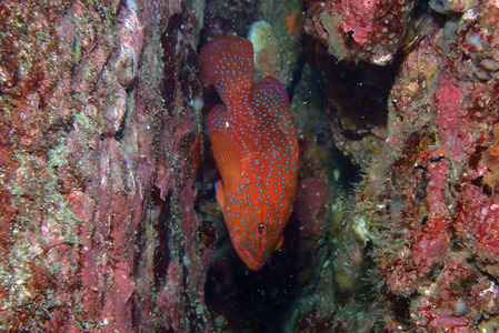 P6150491