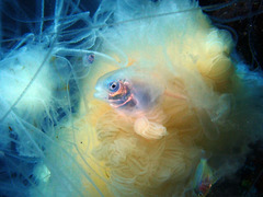 P2180088