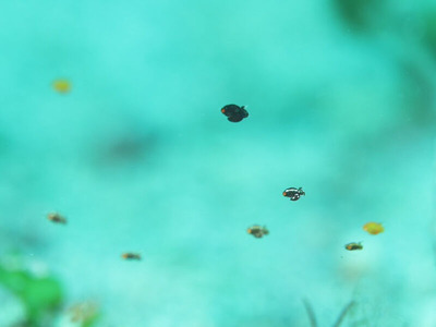 line_oa_chat_240723_161313