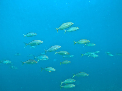 line_oa_chat_240723_162700