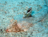 IMG_0174