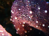 P1130178