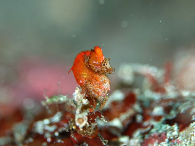 line_oa_chat_240723_161247