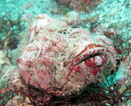 IMG_0037