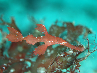 line_oa_chat_240723_161254