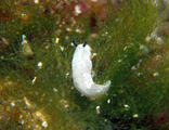 P1191602