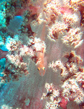 P1191593