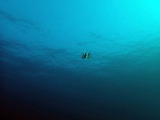 P1130140