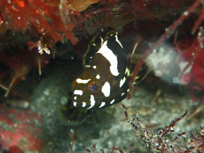 P8032285