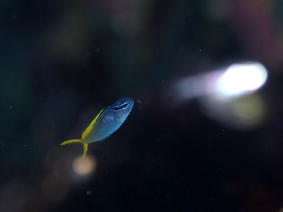 line_oa_chat_240723_161235