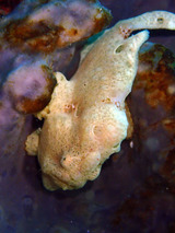 P2070083