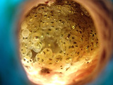 P1170037