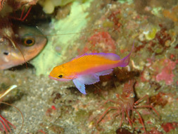 P2160038