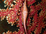 P2210004