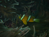 ef56fa3c.jpg