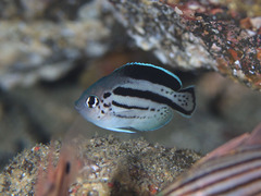 2L7A0591