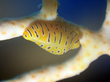 P1070098