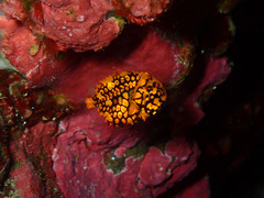 P3260870