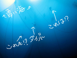 BlogPaint