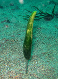 IMG_0035