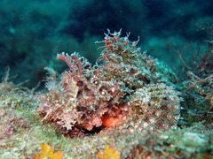 P9112255