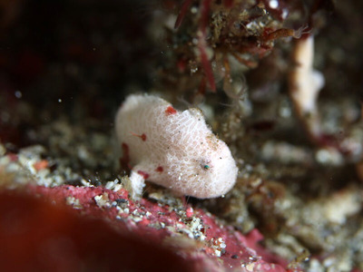 line_oa_chat_240723_161252