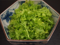 breeze20100216_005
