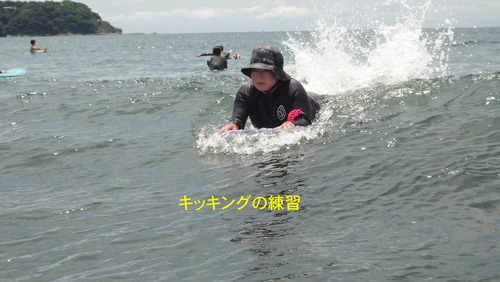 DSC00494