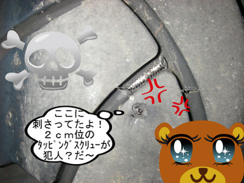 IMGP9464.JPG