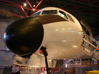 IMGP3381