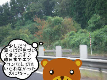 IMGP8377.JPG