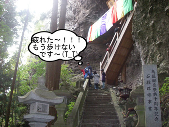 IMGP5071.JPG