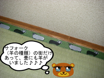 IMGP7181.JPG