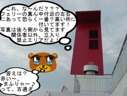 IMGP9911.JPG