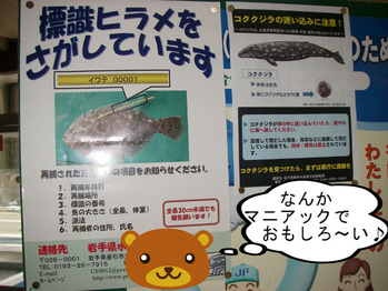 IMGP5634.JPG