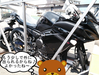DSC_0008web
