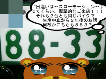 IMGP0137.JPG