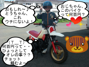 IMGP6454.JPG