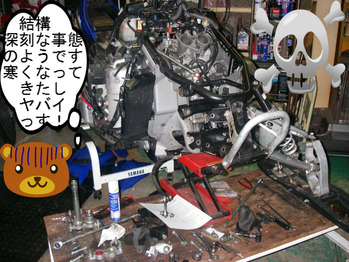 IMGP5129.JPG