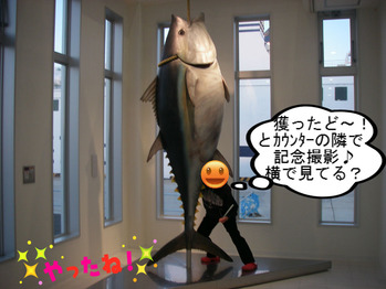 IMGP0161.JPG