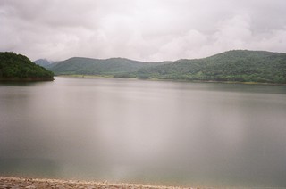 16120007
