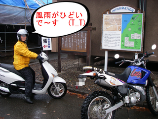 IMGP3550.JPG