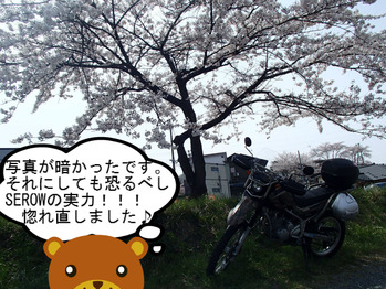 BlogPaint