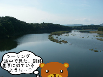 IMGP8471.JPG