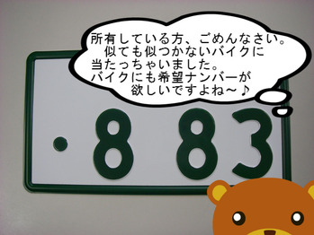 IMGP0134.JPG