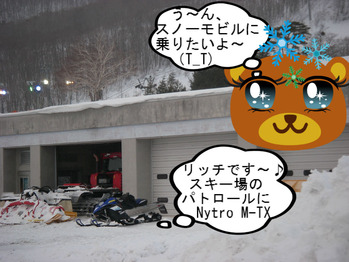IMGP8952.JPG