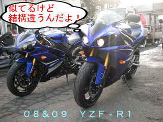 IMGP3570.JPG